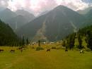 pahalgam